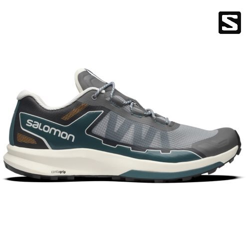 Grey Salomon Ultra Raid Men's Sneakers | IE LM7406